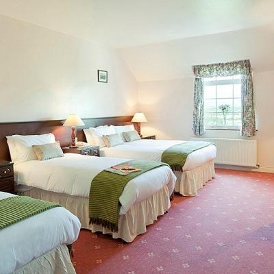 Smerwick Harbour Hotel Dingle Exterior foto
